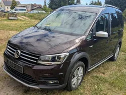 Braun Gebraucht 2019 VW Caddy Van / Kleinbus | 25.500 € (Etwas zu teuer)