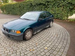Grün Gebraucht 1995 BMW 316 Kleinwagen | 1.500 €