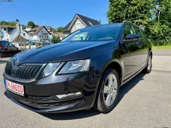 Schwarz Gebraucht 2020 Skoda Octavia G-TEC Kombi | 12.999 € (Guter Preis)