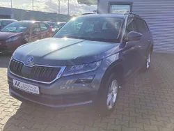Grau Gebraucht 2019 Skoda Kodiaq Ambition SUV | 15.700 € (Teuer)