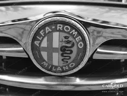 Grau Gebraucht 1966 Alfa Romeo Giulia Cabrio | 130.000 €