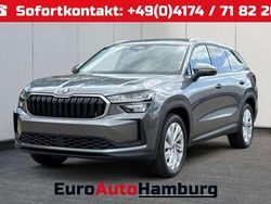 Graphitegrau metallic/grau Neu 2025 Skoda Kodiaq Selection SUV | 41.080 € (Guter Preis)