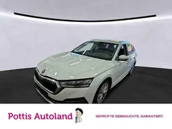 Weiss Gebraucht 2023 Skoda Octavia Style Kombi | 25.977 € (Guter Preis)