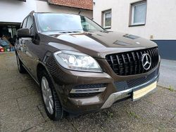 Braun Gebraucht 2015 Mercedes ML250 SUV | 18.500 € (Superpreis)