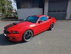 Rot Gebraucht 2014 Ford Mustang Coupé | 14.900 € (Etwas zu teuer)