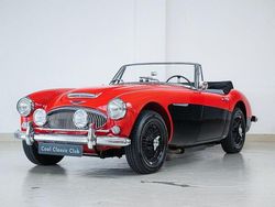 Rot Gebraucht 1964 Austin Healey 3000 MK III Cabrio | 65.000 €
