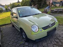 Grün Gebraucht 2002 VW Lupo Kleinwagen | 1.300 € (Fairer Preis)
