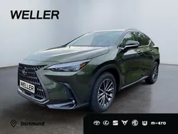 Gruen Neu 2025 Lexus NX450h+ Business Edition SUV | 56.070 € (Fairer Preis)