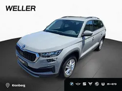 Grau (grau) Gebraucht 2022 Skoda Kodiaq Ambition SUV | 32.950 € (Guter Preis)