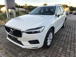 Weiß Gebraucht 2021 Volvo XC60 Momentum SUV | 24.900 € (Guter Preis)