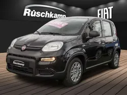 Cinema schwarz) (schwarz Neu 2024 Fiat Panda Kleinwagen | 13.880 €