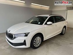 [9p9p] candy white Neu 2025 Skoda Octavia Essence Kombi | 30.630 € (Guter Preis)