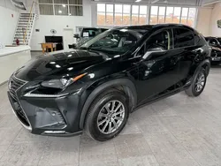 Schwarz Gebraucht 2020 Lexus NX300h SUV | 27.950 € (Fairer Preis)