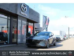 Grau Gebraucht 2019 Mazda 3 Selection Limousine | 17.750 € (Fairer Preis)