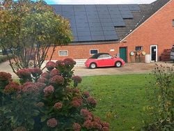 Rot Gebraucht 2003 VW Beetle Cabrio | 2.000 € (Guter Preis)