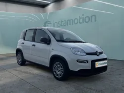 Weiß Neu 2025 Fiat Panda Kleinwagen | 16.790 €