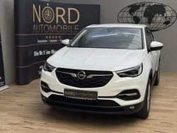 Jade weiß Gebraucht 2021 Opel Grandland X Business SUV | 16.849 € (Fairer Preis)