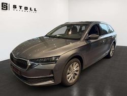 Grau Gebraucht 2025 Skoda Octavia Selection Kombi | 33.990 € (Fairer Preis)