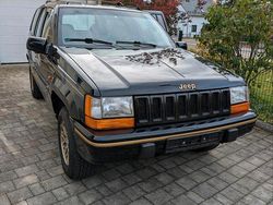 Grün Gebraucht 1995 Jeep Grand Cherokee SUV | 16.500 €