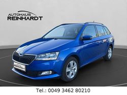 Blau Gebraucht 2020 Skoda Fabia Style Kleinwagen | 16.690 € (Etwas zu teuer)