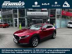 Andere Gebraucht 2023 Mazda CX-30 Selection SUV | 24.990 € (Fairer Preis)
