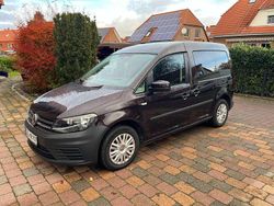 Black berry Gebraucht 2019 VW Caddy Trendline Van / Kleinbus | 17.990 € (Etwas zu teuer)