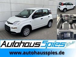 Weiß Gebraucht 2023 Fiat Panda Kleinwagen | 12.489 € (Fairer Preis)
