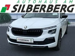 Weiß Neu 2025 Skoda Kamiq Tour SUV | 27.869 € (Teuer)