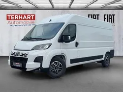 Weiss (pastell)) (weiss Neu 2024 Fiat Ducato Van | 44.015 € (Etwas zu teuer)