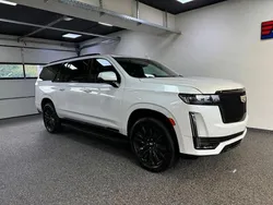 Weiß Gebraucht 2022 Cadillac Escalade SUV | 94.600 €