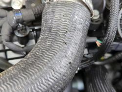 Highlandgrau Gebraucht 2025 Renault Kangoo Techno | 31.790 € (Superpreis)