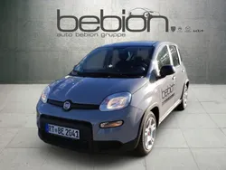 Grau Gebraucht 2023 Fiat Panda Kleinwagen | 11.800 € (Fairer Preis)