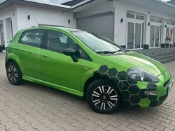 Grün Gebraucht 2012 Fiat Punto Kleinwagen | 4.500 € (Fairer Preis)
