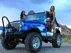 Blau Gebraucht 1976 Jeep CJ SUV | 14.499 €