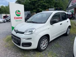 Weiß Gebraucht 2019 Fiat Panda Easy Kleinwagen | 8.700 € (Fairer Preis)