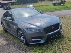 Grau Gebraucht 2017 Jaguar XF R-Sport Limousine | 21.750 € (Guter Preis)