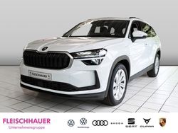 Weiss Gebraucht 2025 Skoda Kodiaq Selection SUV | 49.880 € (Fairer Preis)