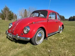 Rot Gebraucht 1965 VW Käfer | 16.900 €