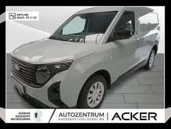 Cactus grey Neu 2025 Ford Transit Trend Van / Kleinbus | 22.850 € (Fairer Preis)