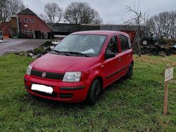 Rot Gebraucht 2008 Fiat Panda Kleinwagen | 999 €