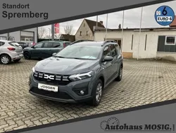 Grau Gebraucht 2023 Dacia Jogger Expression Van / Kleinbus | 21.450 € (Etwas zu teuer)