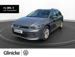 Delfingrau metallic Gebraucht 2024 VW Golf VIII Life Kombi | 23.480 € (Guter Preis)