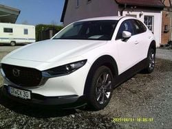 Weiß Gebraucht 2023 Mazda CX-30 Selection SUV | 27.600 € (Etwas zu teuer)