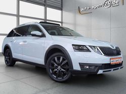 Moonweiss metallic Gebraucht 2019 Skoda Octavia Scout Kombi | 22.990 € (Fairer Preis)