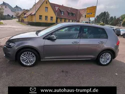 Limestone grey metallic Gebraucht 2014 VW Golf VII Cup Kleinwagen | 11.900 € (Fairer Preis)