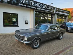 Grau Gebraucht 1965 Ford Mustang Coupé | 49.998 €