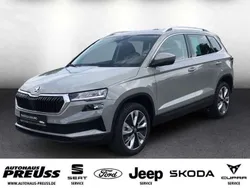 Steelgrau Neu 2025 Skoda Karoq Selection SUV | 34.680 € (Fairer Preis)