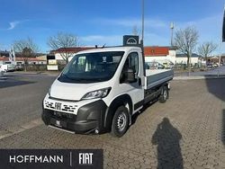Weiss gelato weiss Neu 2026 Fiat Ducato Van | 39.092 € (Teuer)