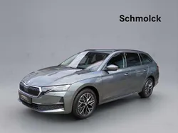Graphitegrau Gebraucht 2024 Skoda Octavia Selection Kombi | 31.390 € (Guter Preis)