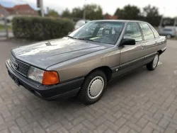 Beige Gebraucht 1989 Audi 100 Limousine | 4.930 €